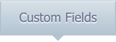 Custom fields tab.png